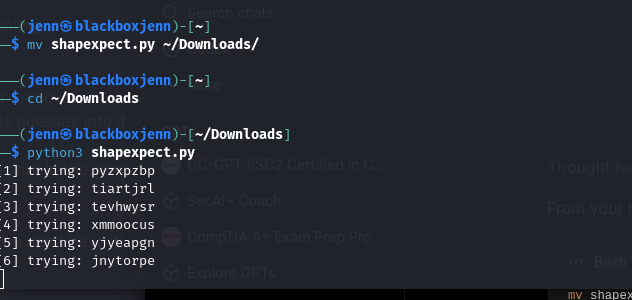 shapexpect.py holding a persistent pexpect session